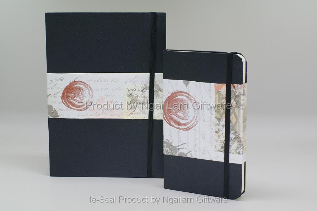 21-019-11 (right), 21-021-11 (left).JPG